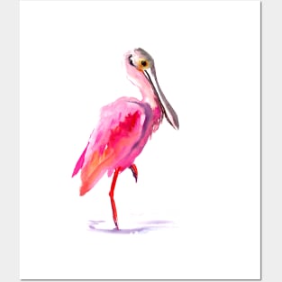 Roseate spoonbill Posters and Art